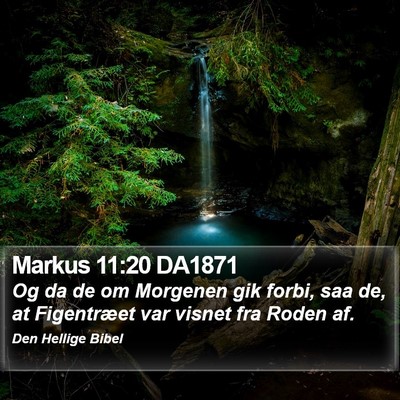 Markus 11:20 DA1871 Bible Verse Image