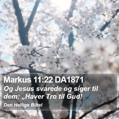 Markus 11:22 DA1871 Bible Verse Image