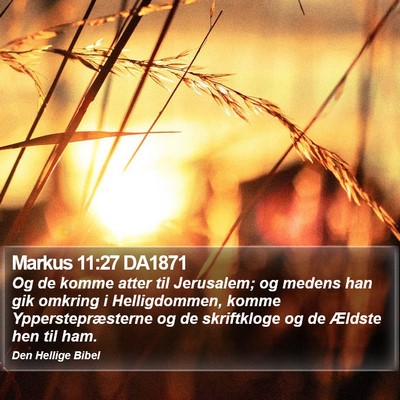 Markus 11:27 DA1871 Bible Verse Image