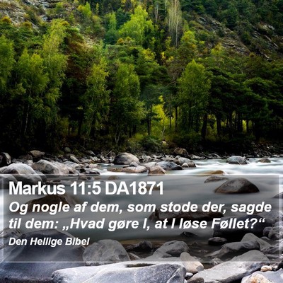 Markus 11:5 DA1871 Bible Verse Image