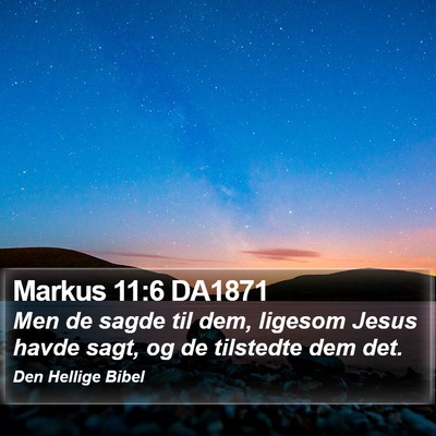 Markus 11:6 DA1871 Bible Verse Image