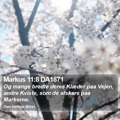 Markus 11:8 DA1871 Bible Verse Image