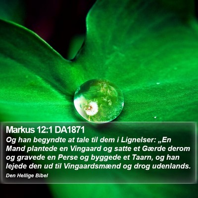 Markus 12:1 DA1871 Bible Verse Image
