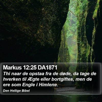 Markus 12:25 DA1871 Bible Verse Image