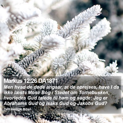 Markus 12:26 DA1871 Bible Verse Image