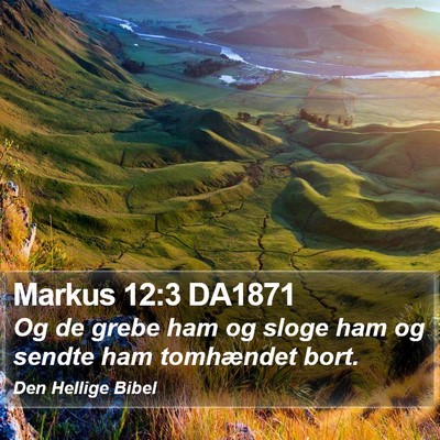 Markus 12:3 DA1871 Bible Verse Image