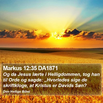 Markus 12:35 DA1871 Bible Verse Image
