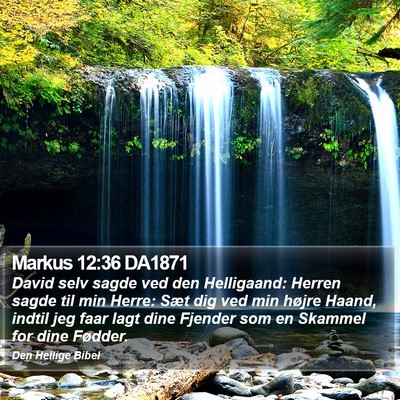 Markus 12:36 DA1871 Bible Verse Image