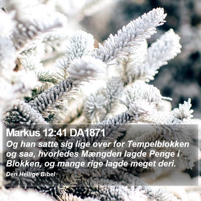 Markus 12:41 DA1871 Bible Verse Image