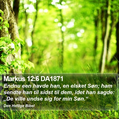 Markus 12:6 DA1871 Bible Verse Image