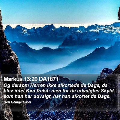 Markus 13:20 DA1871 Bible Verse Image