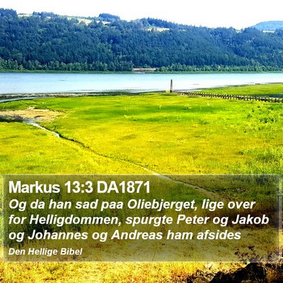 Markus 13:3 DA1871 Bible Verse Image
