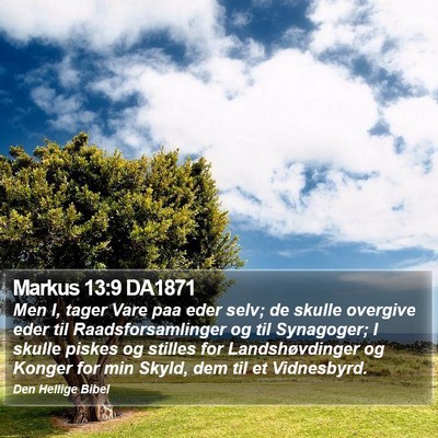 Markus 13:9 DA1871 Bible Verse Image