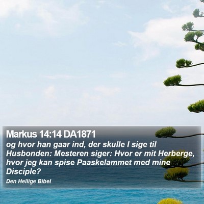 Markus 14:14 DA1871 Bible Verse Image