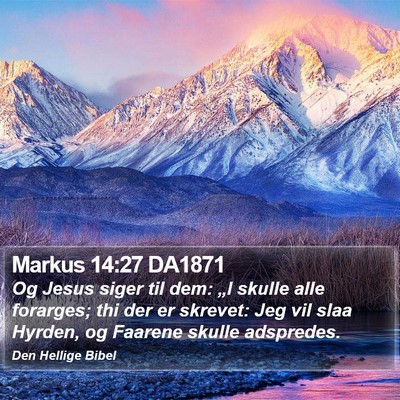 Markus 14:27 DA1871 Bible Verse Image