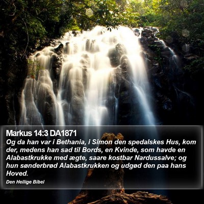 Markus 14:3 DA1871 Bible Verse Image