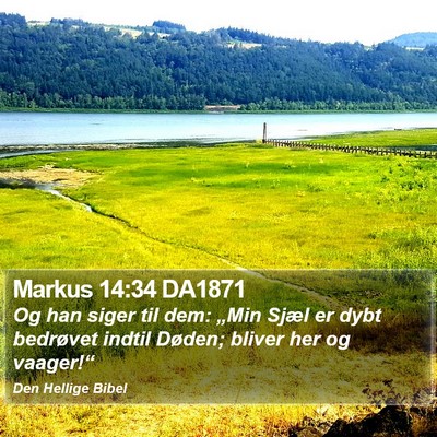 Markus 14:34 DA1871 Bible Verse Image