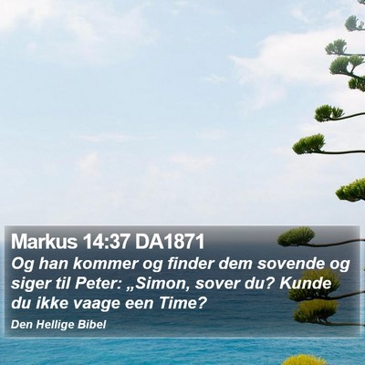 Markus 14:37 DA1871 Bible Verse Image