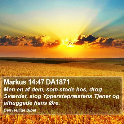 Markus 14:47 DA1871 Bible Verse Image