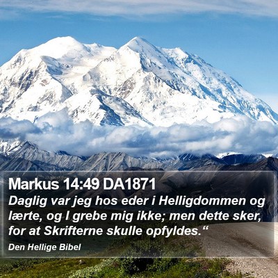 Markus 14:49 DA1871 Bible Verse Image