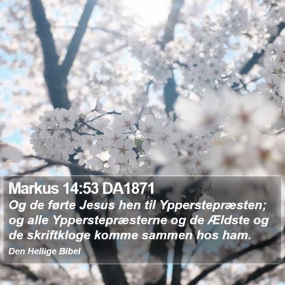 Markus 14:53 DA1871 Bible Verse Image