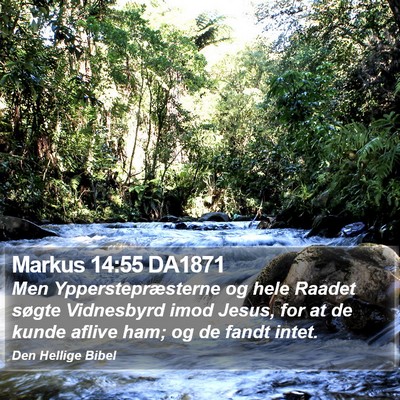 Markus 14:55 DA1871 Bible Verse Image