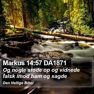 Markus 14:57 DA1871 Bible Verse Image