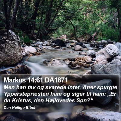 Markus 14:61 DA1871 Bible Verse Image