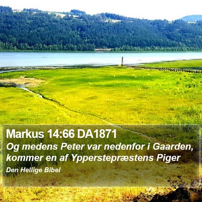 Markus 14:66 DA1871 Bible Verse Image