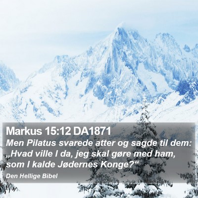 Markus 15:12 DA1871 Bible Verse Image