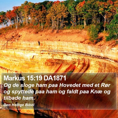 Markus 15:19 DA1871 Bible Verse Image