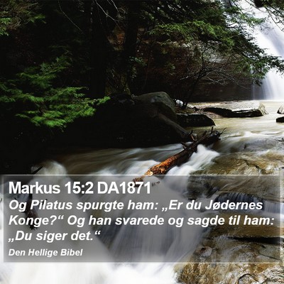 Markus 15:2 DA1871 Bible Verse Image