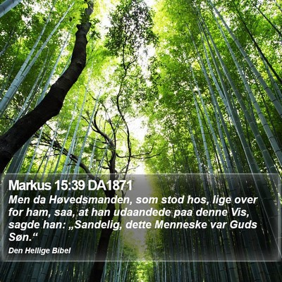 Markus 15:39 DA1871 Bible Verse Image
