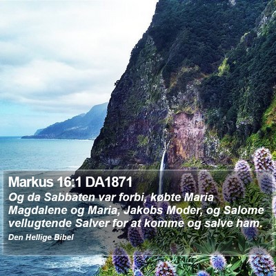 Markus 16:1 DA1871 Bible Verse Image