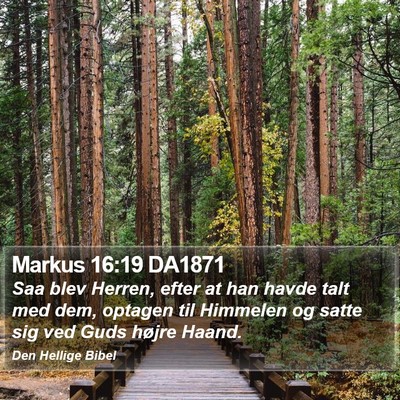 Markus 16:19 DA1871 Bible Verse Image