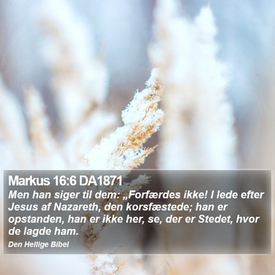 Markus 16:6 DA1871 Bible Verse Image