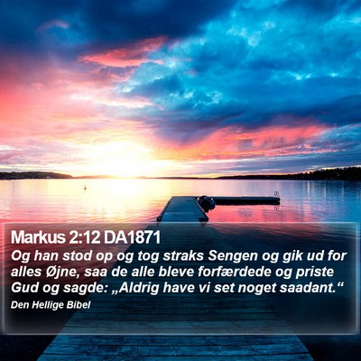 Markus 2:12 DA1871 Bible Verse Image