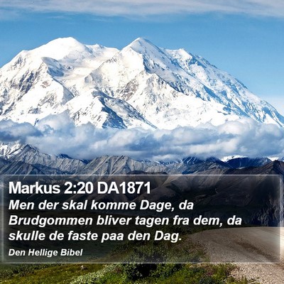 Markus 2:20 DA1871 Bible Verse Image