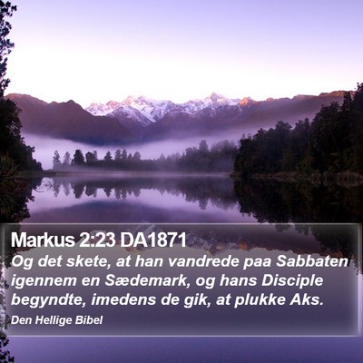 Markus 2:23 DA1871 Bible Verse Image