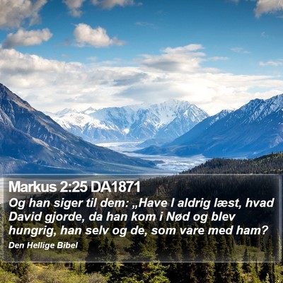 Markus 2:25 DA1871 Bible Verse Image