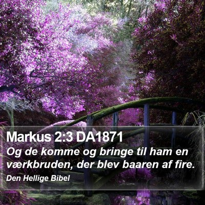 Markus 2:3 DA1871 Bible Verse Image