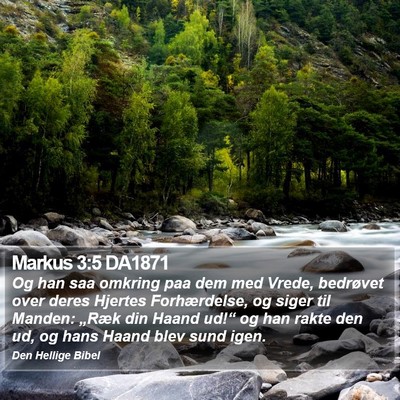 Markus 3:5 DA1871 Bible Verse Image