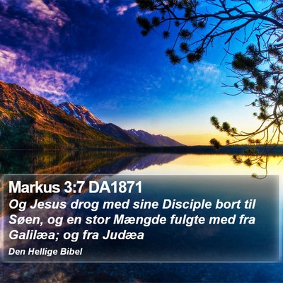 Markus 3:7 DA1871 Bible Verse Image