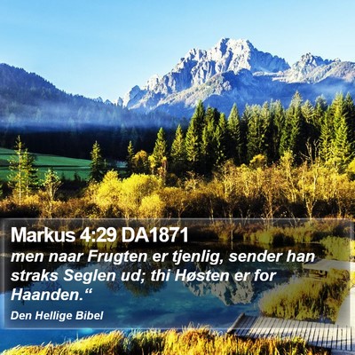 Markus 4:29 DA1871 Bible Verse Image