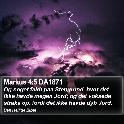 Markus 4:5 DA1871 Bible Verse Image
