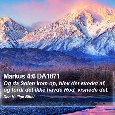 Markus 4:6 DA1871 Bible Verse Image