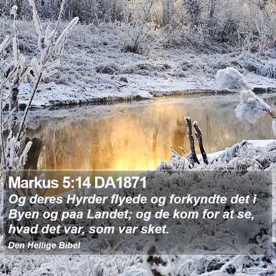 Markus 5:14 DA1871 Bible Verse Image
