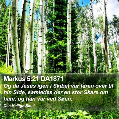 Markus 5:21 DA1871 Bible Verse Image
