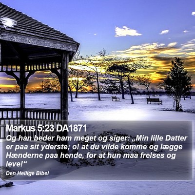 Markus 5:23 DA1871 Bible Verse Image