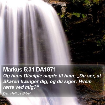 Markus 5:31 DA1871 Bible Verse Image